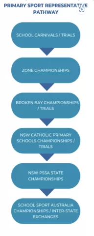 Rep pathways